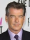 Pierce Brendan Brosnan