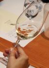 Elecciones al vino preferido de la mujer