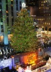 El �rbol de Rockefeller Center inaugura la Navidad en Nueva York