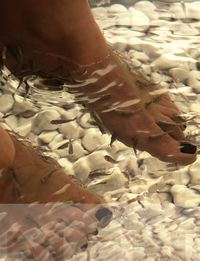 La Ictioterapia: el tratamiento m�s novedoso para embellecer los pies