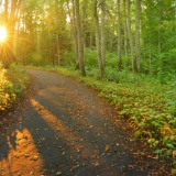 Camino o carretera