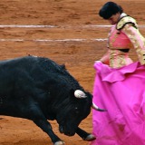 Corrida de toros