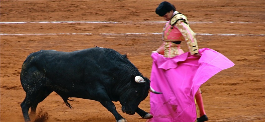 Significado de soñar con una corrida de toros