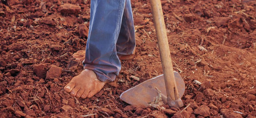 Significado de soñar con labores de campo