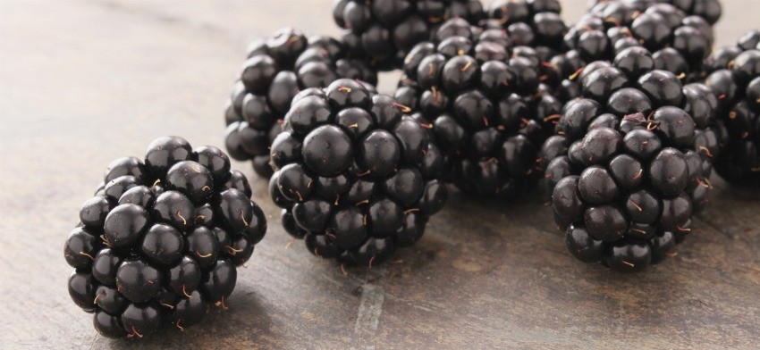 Significado de soñar con moras