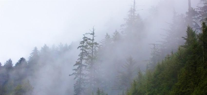 Significado de soñar con niebla