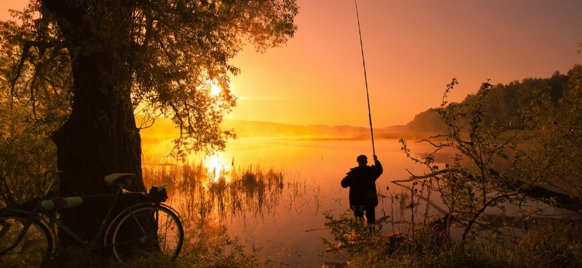 Significado de soñar con pescar
