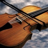 Violín, violines
