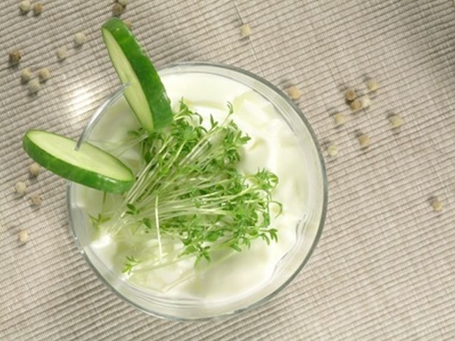 Salsa de yogur y queso de cabra