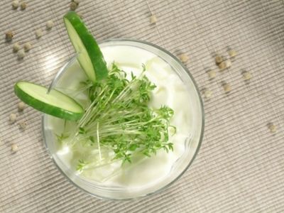 Salsa de yogur y queso de cabra