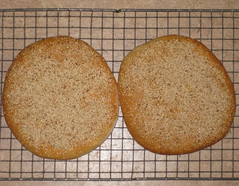 Tortas de aceite