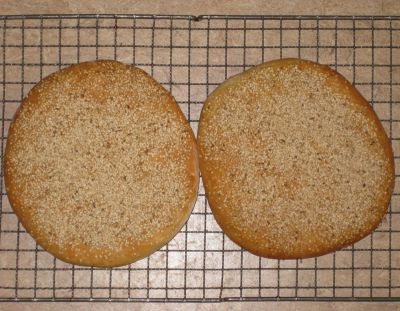 Tortas de aceite