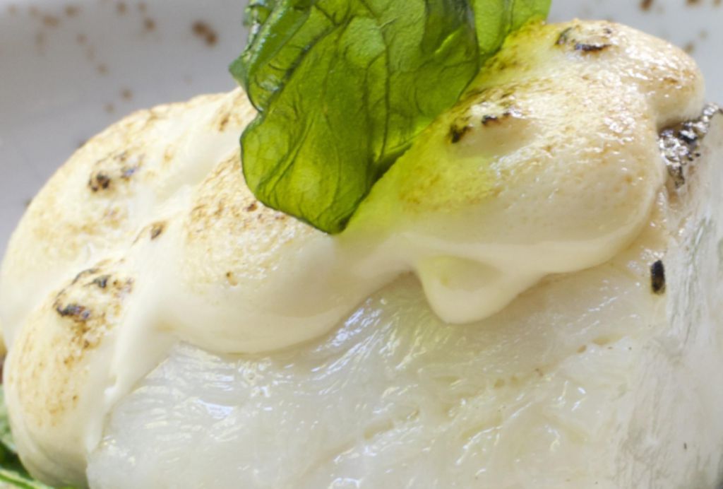 Bacalao museline