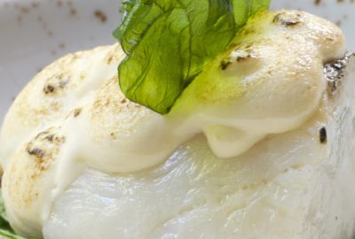 Bacalao museline