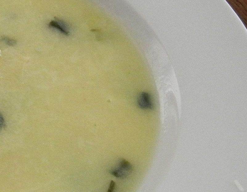 Crema de melón y yogur a la menta